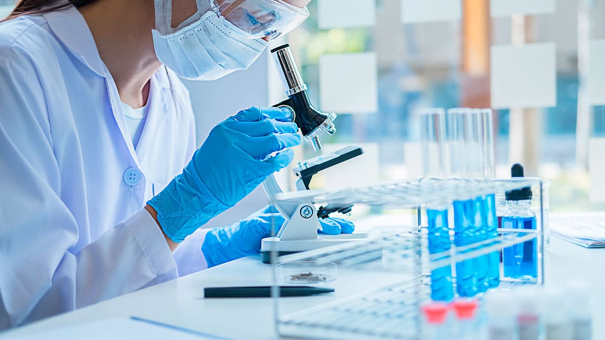 Cual Es El Campo De Estudio De La Bioquimica www.usb.edu.mx